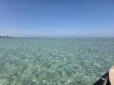A serene view of clear turquoise waters under a blue sky, ideal for showcasing the beauty of coastal destinations.