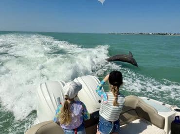 A child watches in awe as a dolphin leaps from the water, creating a magical moment during a boat trip — a perfect example of wildlife interaction on the water.