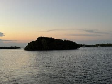 A serene sunset view over a mangrove island, with sailboats anchored nearby, capturing the tranquil beauty of coastal landscapes.