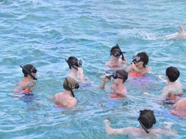 A lively group enjoys snorkeling in crystal-clear waters, showcasing the fun and excitement of underwater exploration.