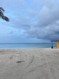 A tranquil beach scene with a view of the ocean and cloudy skies, creating a serene atmosphere.