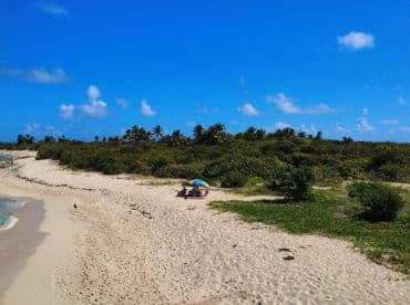A serene beach scene featuring guests relaxing under an umbrella, surrounded by lush greenery and clear blue skies — a perfect getaway for sunbathing and enjoying nature.