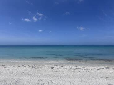 A serene beach scene with clear blue skies and calm waters, perfect for a relaxing day by the shore.