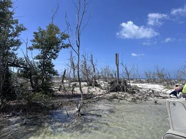 A scenic view of a beach with a group of people exploring the shoreline, showcasing the natural beauty of the island environment.