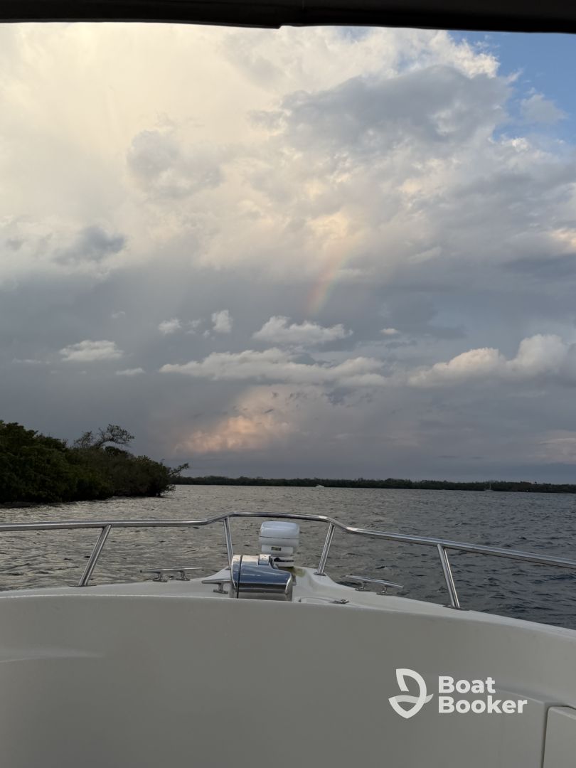 Sunset Cruise 