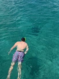A snorkeler explores the vibrant underwater world in crystal-clear waters, showcasing the thrill of marine adventures.