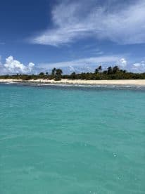 A stunning view of a serene beach with turquoise waters and lush greenery, perfect for showcasing tropical destinations and relaxing getaways.