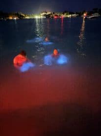 A group enjoys a magical night swim, illuminated by bioluminescent waters, creating a stunning backdrop for unforgettable memories.