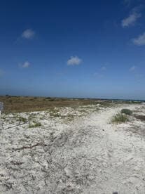 A wide shot of a sandy area with sparse vegetation and a clear blue sky, but lacks a clear subject or focus.