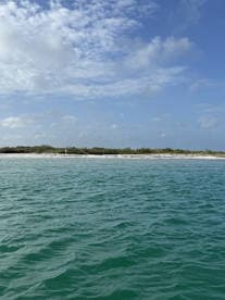 A serene view of a coastline under a clear blue sky, showcasing the tranquil waters and lush greenery — perfect for nature lovers and beach enthusiasts.