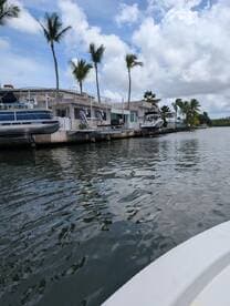 A scenic view of boats docked along a waterfront, surrounded by palm trees and residential buildings, perfect for showcasing boating locations.