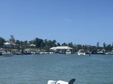 A scenic view of a marina filled with various boats docked along the waterfront, showcasing a vibrant boating community.