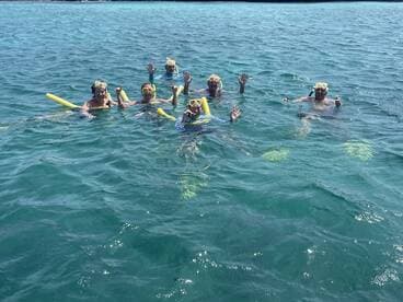 A lively group enjoys snorkeling in crystal-clear waters, showcasing the joy of underwater exploration and aquatic adventures.