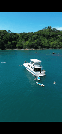 A vibrant scene featuring guests enjoying the water around a boat, with paddleboarding and swimming activities highlighting a perfect day on the water.