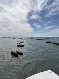 A view of the water with floating structures, but the image lacks clarity and focus.