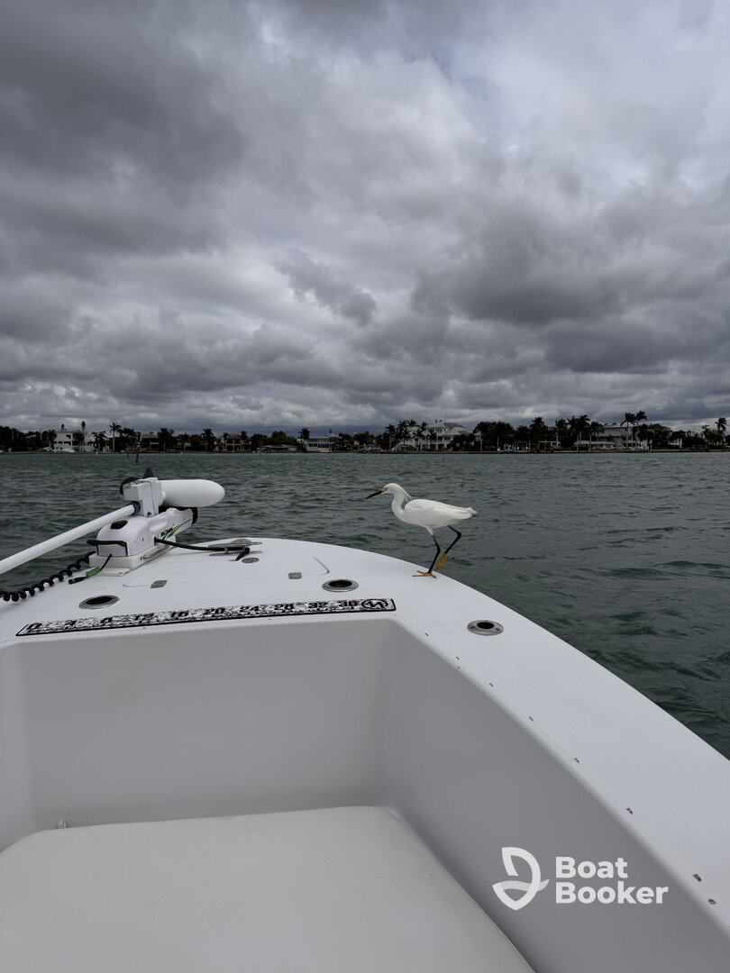 Great boat trip, highly recommend!
