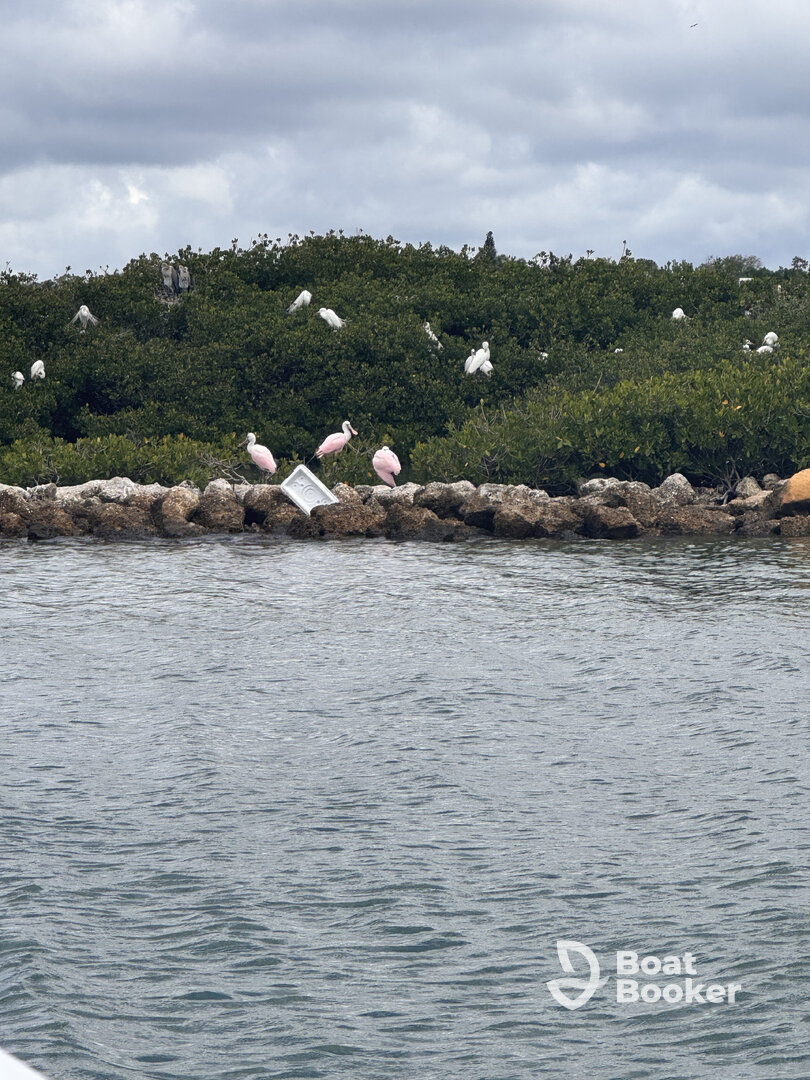 Great boat trip, highly recommend!