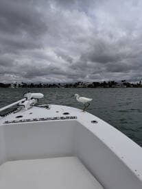 A white egret perches on the bow of a boat, showcasing a serene moment on the water amidst a cloudy sky.