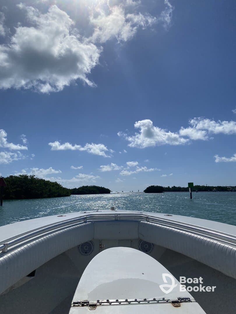 A scenic view from the front of a speedboat navigating through calm waters, surrounded by lush greenery and a bright blue sky — perfect for a day of exploration on the water.