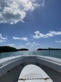 A scenic view from the front of a speedboat navigating through calm waters, surrounded by lush greenery and a bright blue sky — perfect for a day of exploration on the water.