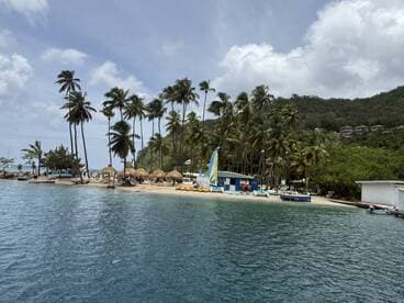 A picturesque beach scene featuring palm trees and water activities, perfect for a tropical getaway or island adventure.