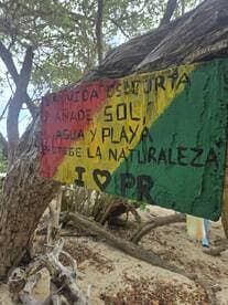 A colorful sign promoting the beauty of nature and the enjoyment of sun, water, and beaches, set against a backdrop of trees. The message highlights the importance of protecting the environment.