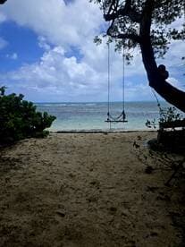 A serene beach scene featuring a swing hanging from a tree, overlooking calm ocean waters and a cloudy sky — perfect for relaxation and scenic views.