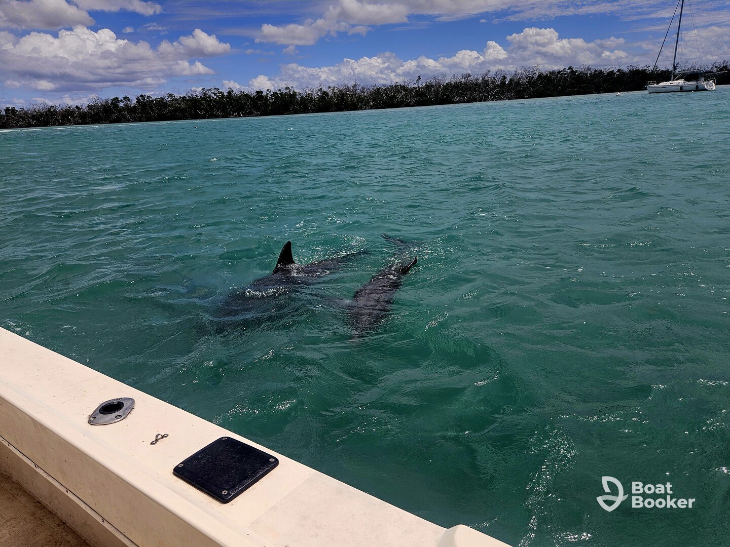 Great day out in the water!!