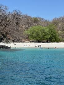 A vibrant beach scene with a group enjoying the sun and water, perfect for a sandbar stop or beach day adventure.