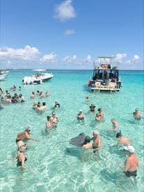 A lively group interacts with stingrays in the crystal-clear waters, creating an unforgettable wildlife experience in a tropical paradise.