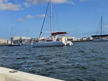 A sleek catamaran docked in a marina, showcasing its elegant design against a vibrant waterfront backdrop.