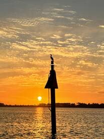A serene sunset view featuring a bird perched on a marker, silhouetted against the vibrant colors of the sky — a perfect moment for nature lovers.