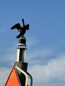 A cormorant perches proudly atop a navigation marker, showcasing its wings against a clear blue sky — a striking moment of wildlife in its natural habitat.