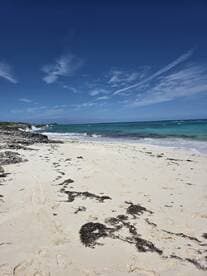 A serene beach scene showcasing the beautiful coastline and clear blue waters, perfect for relaxation and exploration.