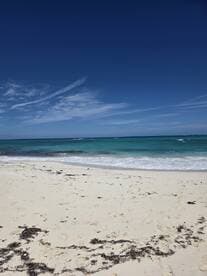 A serene beach scene with turquoise waters and a clear blue sky, perfect for a relaxing getaway.