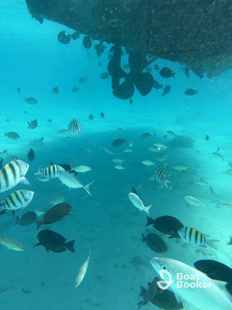 Love them! 