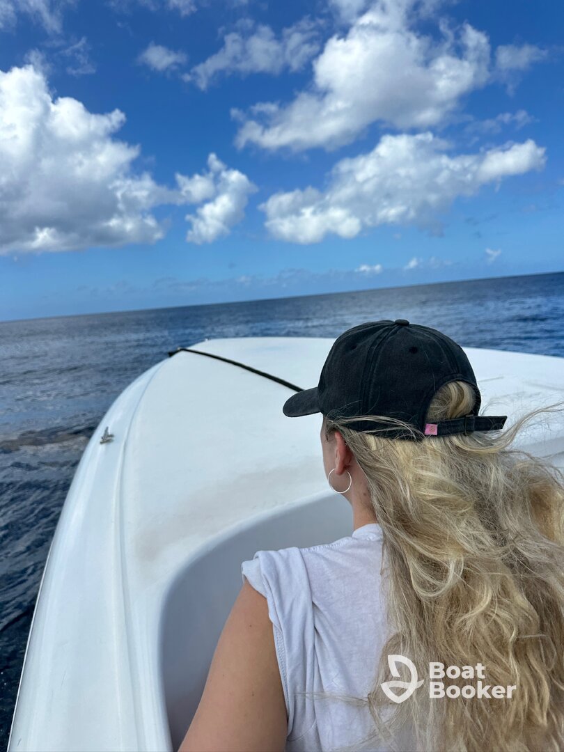 The highlight of our St Lucian holiday