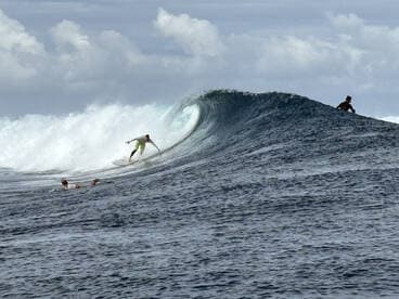 Surfers ride the powerful waves in a thrilling display of skill and adventure, capturing the essence of ocean sports.