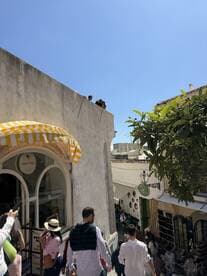 A bustling street scene with people walking and enjoying the day, showcasing the vibrant atmosphere of a popular destination.