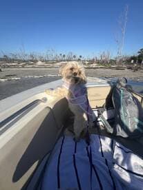 A cute dog enjoys the boat ride, peering over the edge while surrounded by a scenic outdoor backdrop. Perfect for pet-friendly boating adventures.