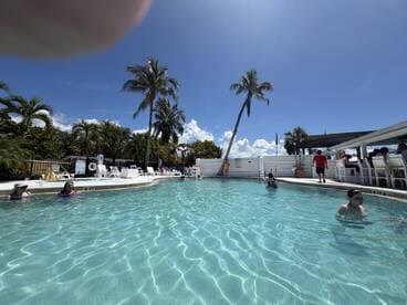 Guests enjoy a sunny day at the pool, surrounded by palm trees, making it a perfect spot for relaxation and family fun.