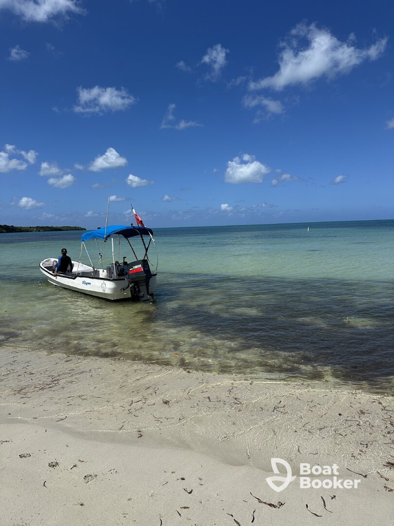 Sure to be the highlight of your stay in PR