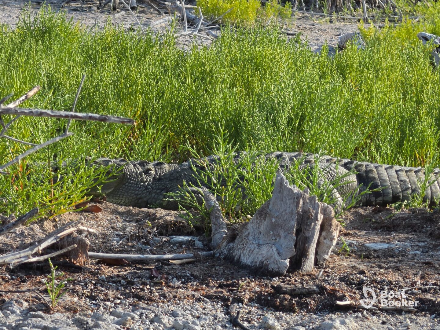Un día de naturaleza con el capitán Carlos