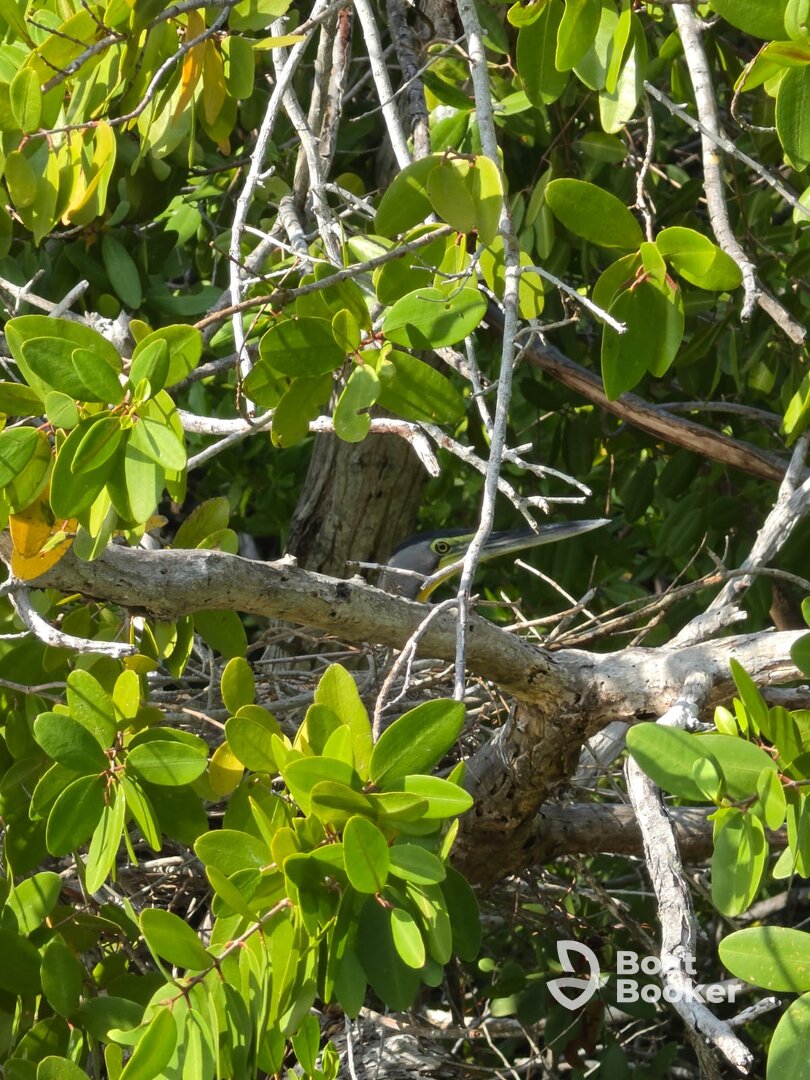 Un día de naturaleza con el capitán Carlos