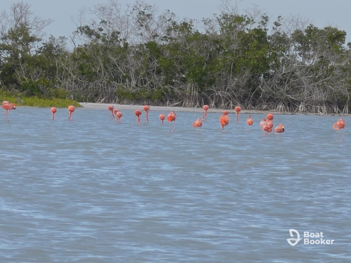 Un día de naturaleza con el capitán Carlos