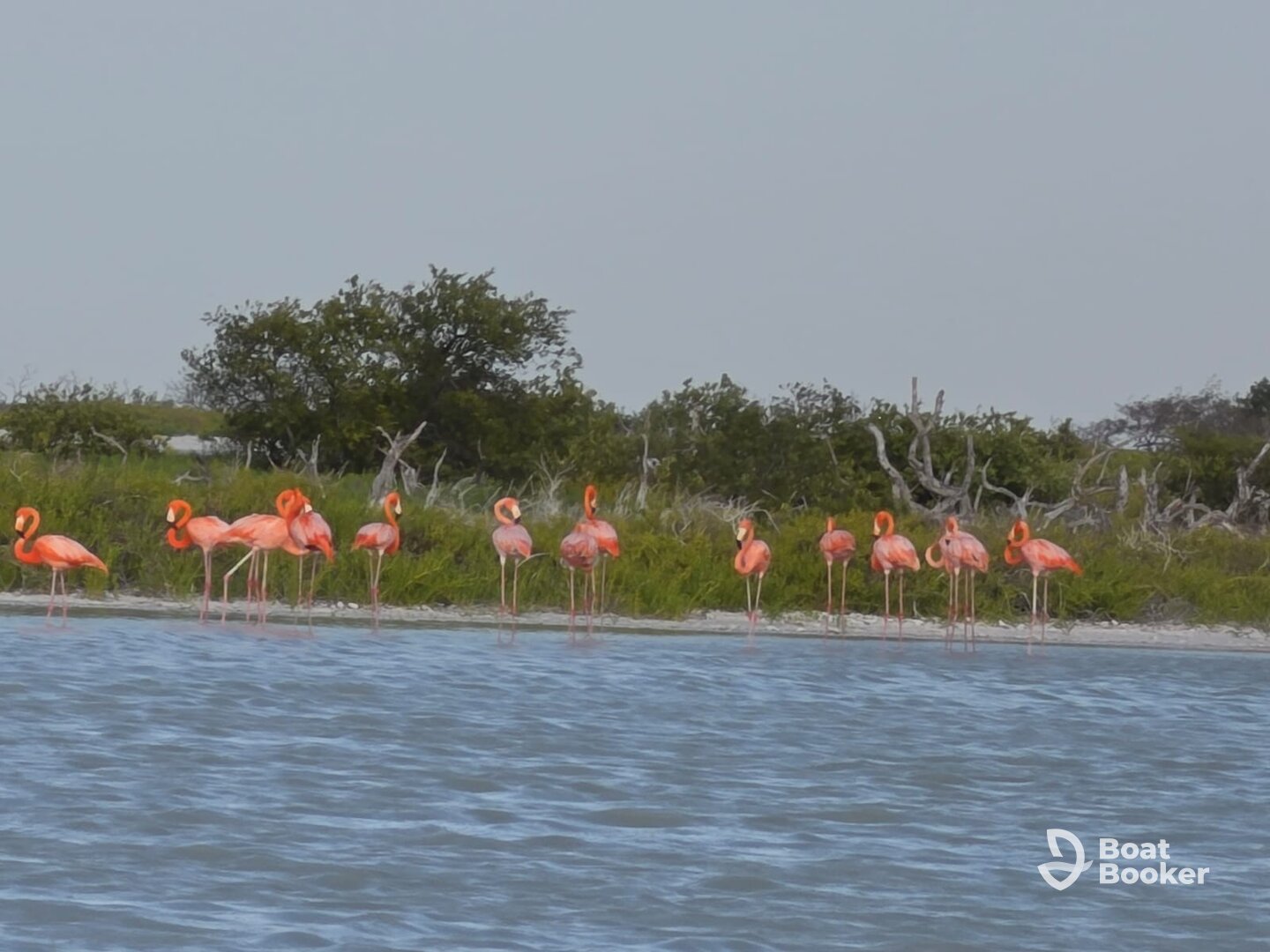 Un día de naturaleza con el capitán Carlos