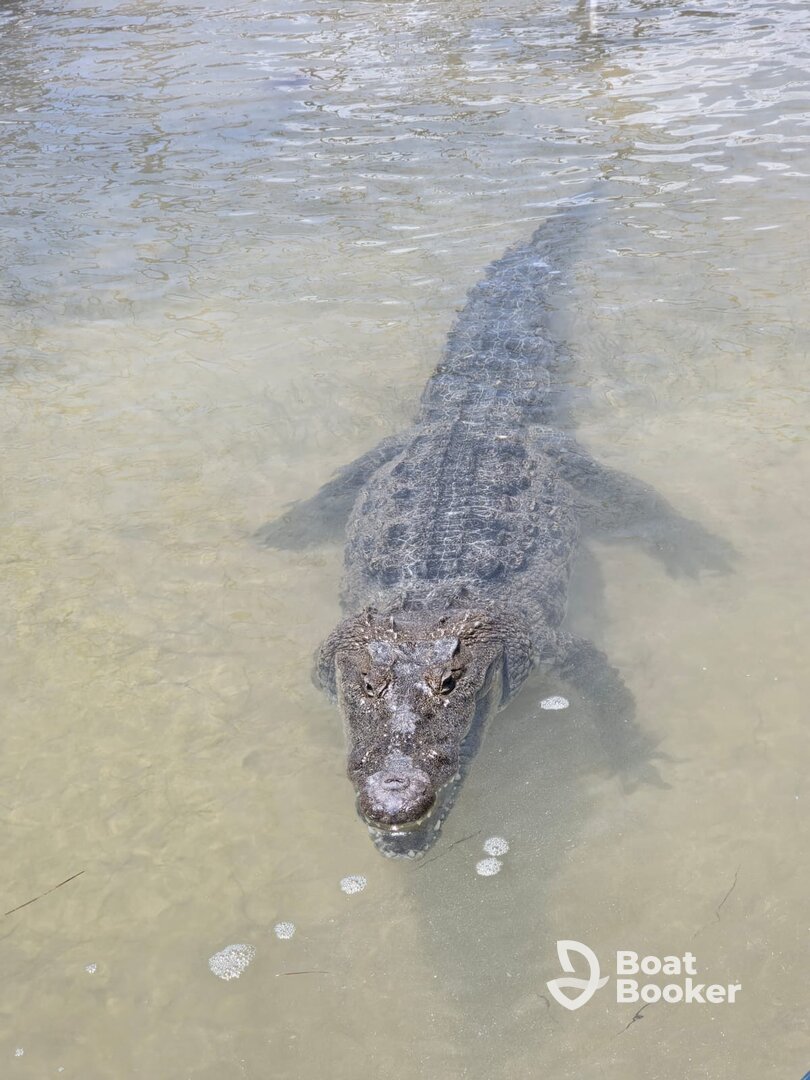 Un día de naturaleza con el capitán Carlos