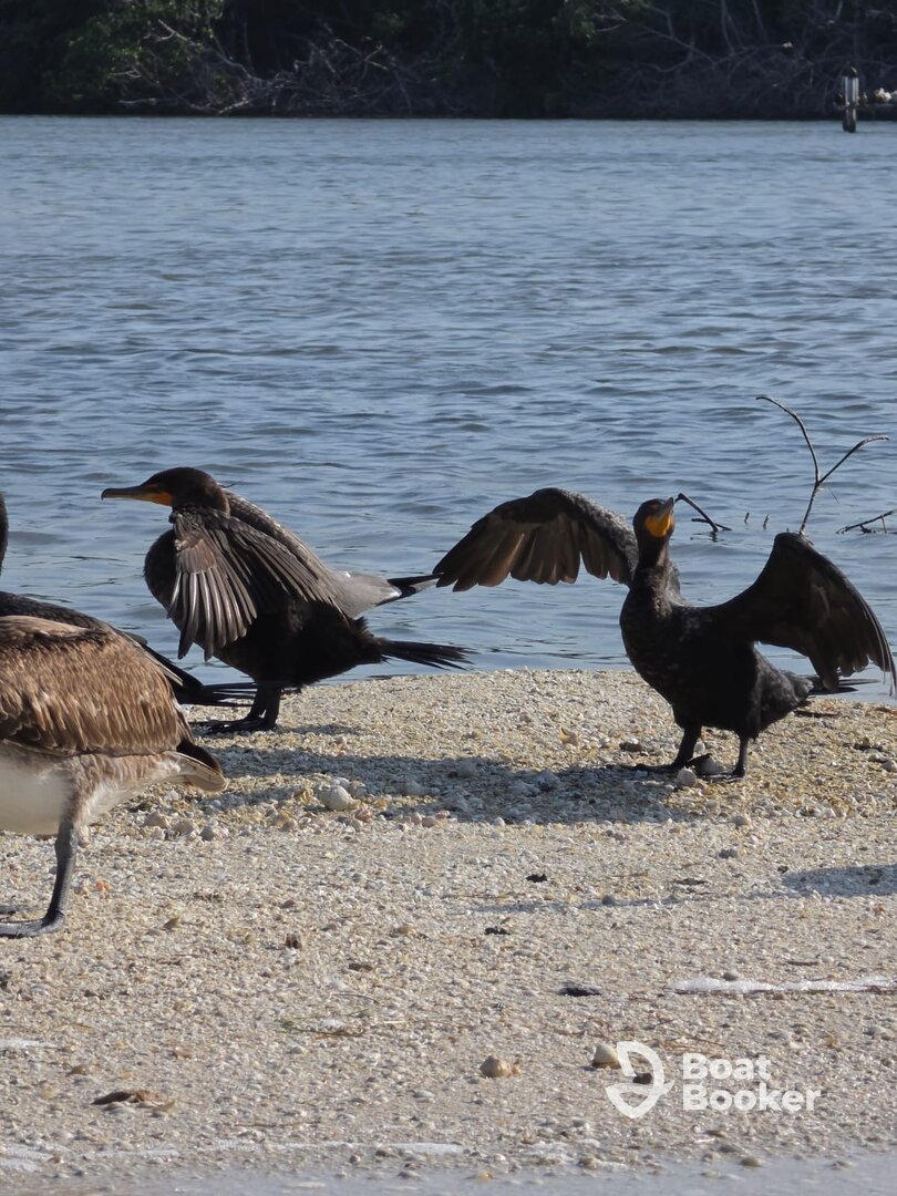 Un día de naturaleza con el capitán Carlos