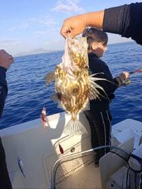 A young angler proudly holds up a freshly caught fish while fishing on the open ocean, showcasing the excitement of family fishing trips.
