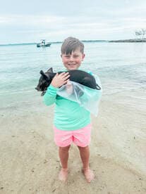 A young boy joyfully holds a pig while standing in shallow water, showcasing a delightful interaction with wildlife in a tropical setting.